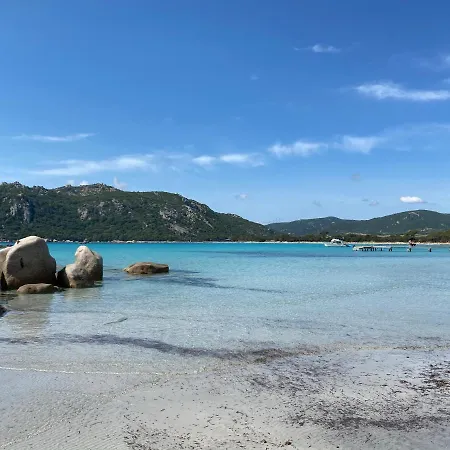 2 Pièces Dans Le Centre Historique De Vecchio